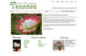 разсадник Телопеа - Екзотични растения, семена и препарати :: шевдзеьхкияеищ ъдп телопеанурсеръ цом телопеанурсеръ цом