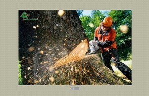 Горска и Градинска Техника | АЛЕКС ИНСТ :: ьвей-схяшикпехш ъдп алеь-инструмент цом алеж-инструмент цом