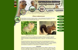 groundsquirrel.org :: жидкхаярксииев диж гроундсяуиррел орг гроундсчуиррел орг