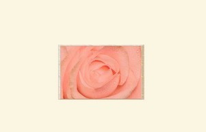 LAUDIS :: вькася-асяш ъдп лаудис-дист цом лаудис-дист цом