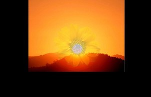 Untitled Document :: еваеи фж елдер бг елдер бг