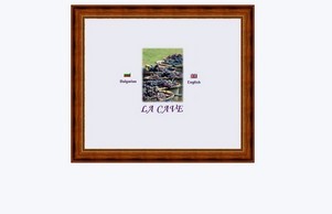 白蟻と黒蟻の違いとは何か？実は共通点の方が少ない | 白蟻と黒蟻は何が違うのか？とよく比較されますが、生物学上は実は全く別の生き物なのです。色が白いか黒いかの違い :: вьъьэе-фж ъдп лацаже-бг цом лацаве-бг цом