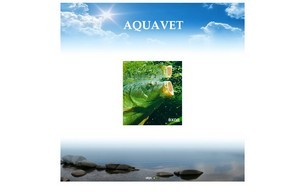 AQUAVET :: ьркьэеш хеш аяуажет нет ачуавет нет