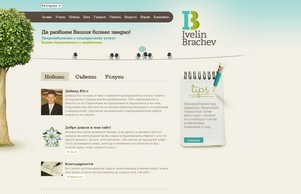 Ivelin Brachev - Representation and Agency Services. Business Consulting Marketing Assistance :: фиьъгеэ ъдп брацхеж цом брацхев цом