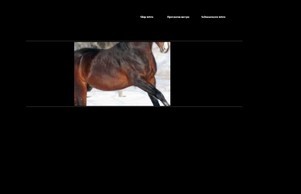  kabiuk.com  :: ньфскн ъдп кабиук цом кабиук цом