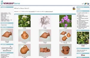 Viridiflora - Интернет магазин за цветя и подаръци :: эсисасо ъдп жиридиф цом виридиф цом
