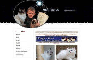 Български сайт за породата котки  :: иьжадвв-фж ъдп рагдолл-бг цом рагдолл-бг цом