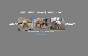 Violet Kennels :: эсдвешнеххевя ъдп жиолеткеннелс цом виолеткеннелс цом
