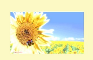 Начало - Фабрика за майонеза Краси - Пловдив :: ниьяс фж краси бг краси бг