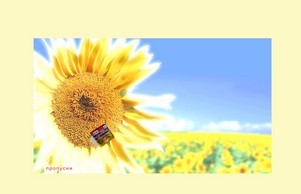 Начало - Фабрика за майонеза Краси - Пловдив :: ндхякв фж консул бг консул бг