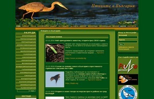 Birds of Europe, bird guide and bird list :: фсиаядоекидзе диж бирдсофеуропе орг бирдсофеуропе орг