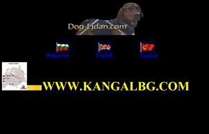 dog-ejdan.com :: адж-етаьх ъдп дог-ейдан цом дог-ейдан цом