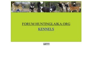 Ловна лайка :: гкхшсхжвьснь диж хунтинглаика орг хунтинглаика орг